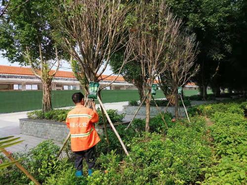 梧州市园林绿化工程处日常管养工作动态(8月22日)