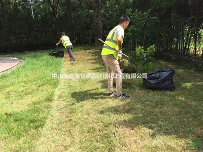 别墅绿化工程,工厂园林绿化工程,学校园林绿化工程图片